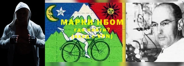 трава Инта