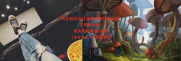 первитин Инсар