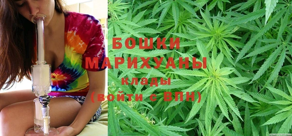 первитин Инсар