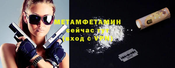 трава Инта