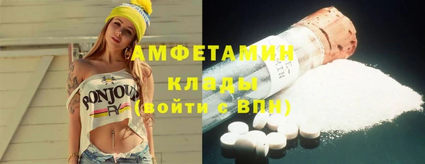 трава Инта