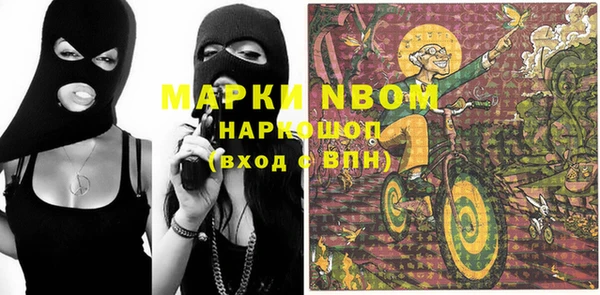 трава Инта