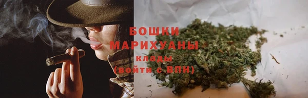 трава Инта