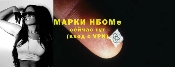 трава Инта
