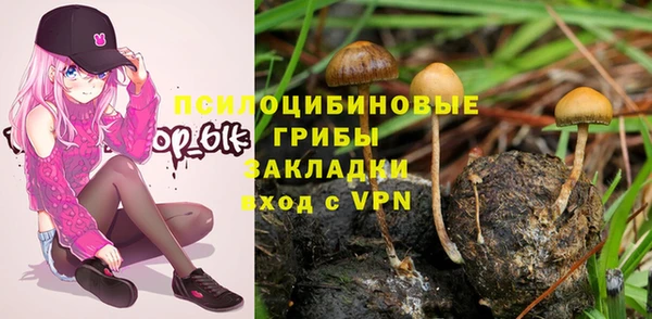 первитин Инсар