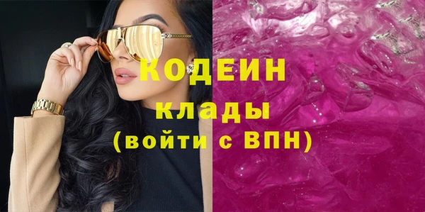 трава Инта