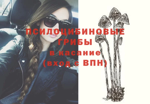 трава Инта