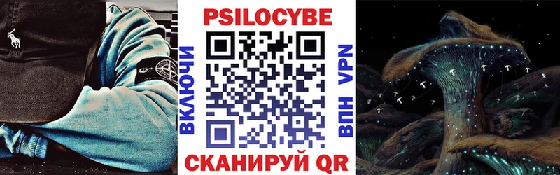 Псилоцибиновые грибы Magic Shrooms  закладка  Суворов 